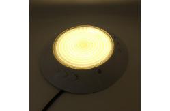 China Plastic Body Remote Control 24W Outdoor Pool Lights supplier