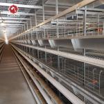 9 Layers / Cell 380V Battery Chicken Cage Provide Free Design for sale