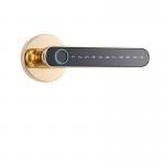 Hotel Smart Door Lock Password Key Code Automatic Door Lock For Apartment for sale