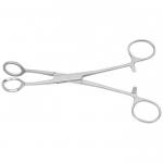 Veterinary Titanium Tongue Holder Forceps General Surgery Instruments for sale