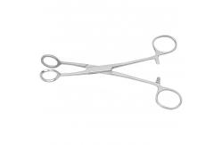 China Veterinary Titanium Tongue Holder Forceps General Surgery Instruments supplier