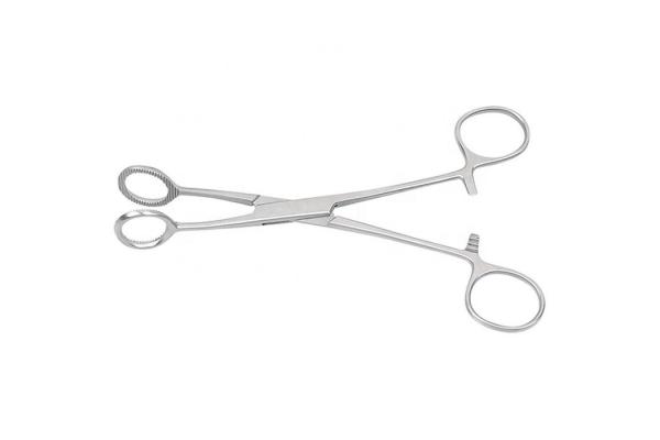 Veterinary Titanium Tongue Holder Forceps General Surgery Instruments