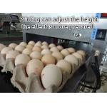 Whole Disk Egg Inkjet Coding Machine With Environmental Protection Non - Toxic Ink