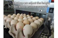 China Whole Disk Egg Inkjet Coding Machine With Environmental Protection Non - Toxic Ink supplier
