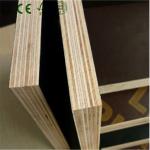 20mm Film Faced Plywood for sale