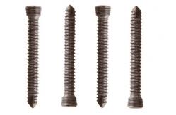 China Orthopedic Implant Locking Screw Surgical Titanium Bone Screw supplier