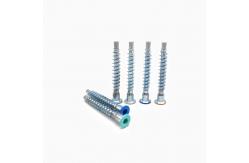 China Custom Furniture Self Tapping Screw Countersunk Hex Socket Roller Coaster supplier