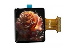China 2.7'' Winstar Monochrome OLED Display Module 128*64 WEP012864Q-CTP Display supplier