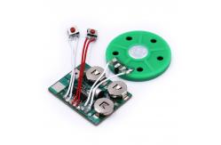 China ODM OEM Audio Recordable Sound Module With Speaker PCB Board supplier