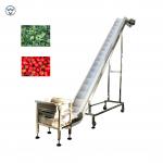 Vegetable Fruit Frozen Food Inclined Conveyor Automatic Belt Chain Conveying for sale