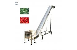 China Vegetable Fruit Frozen Food Inclined Conveyor Automatic Belt Chain Conveying supplier