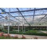 Large Size Glass Multi Span Greenhouse Structure Agricultural Tomato Farming Greenhouse