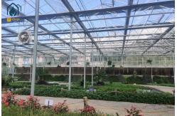 China Large Size Glass Multi Span Greenhouse Structure Agricultural Tomato Farming Greenhouse supplier