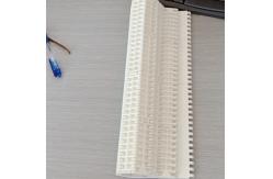 China                  Plastic Wire Mesh Plastic Modular Belt              supplier
