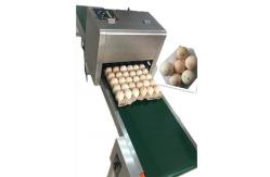 China 600DPI High Resolution Code Printing Machine , Batch Coding Machine For Eggs supplier