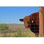 5 6 7 8ft Knot Field Fence for sale