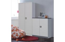 China Knocked Down Construction Metal Cupboard Cabinet With Two Doors supplier