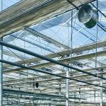 Double Layer Glass Greenhouse Hydroponic System with Multi-Span Technology Integration