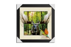 China Custom Posters 3 Dimensional Pictures 40x40 Cm Giraffe Large Size supplier