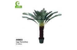 China Single Head Aesthetic 120cm Artificial Sago Palm Trees For Outdoor supplier