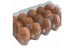 China 9pcs Stackable Plastic Egg Holder 152mm Square Incubator Egg Setting Tray supplier