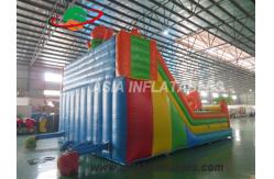 China 0.55mm PVC Tarpaulin 8 X 6M Tiger Inflatable Fun City supplier