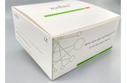 China Ncov BfArm Ag Rapid Test Kit Qualitative Detection Saliva Reagent supplier