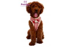 China Remote Dog Martingale Remote Control Lcd Training Collar Gentle Lead supplier