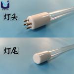 G24T5L T5 T8 UVC Disinfection Lamp Double Side UV LED Tube Sterilizing