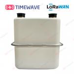 LoRaWAN Smart Gas Meter Secure Gas Consumption Meter Lithium Battery Digital Meter Electricity Bill for sale