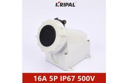 China IP67 16A 32A 3 Pole IEC Industrial Surface Mounting Socket Outlet supplier