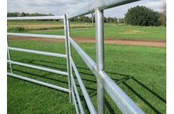 China Steel Square Tube Heavy Duty Cattle Panel American Style supplier