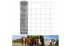 China Light Duty Feild Fence 2.0mm Cattle Fencing No Climb Horse Fence supplier