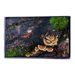 VVX07H005A00 7.0 inch 450 cd/m2 LCD Screen Display Panel for sale