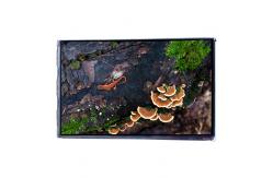 China VVX07H005A00 7.0 inch 450 cd/m2 LCD Screen Display Panel supplier