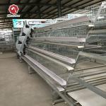 Silver Star Breeding Baby Chick Cage H Type Can Be Customized Chicken Coop for sale