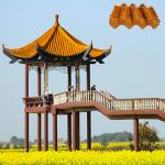 Antique Chinese Sancai Yellow Glazed Terracotta Roof Tile Asian Style For Temple House for sale