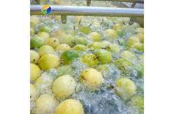 China Silvery Personalization Passion Fruit And Vegetable Processing Line Fruit Cleansing Drying supplier