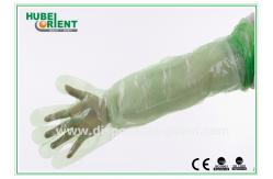 China LDPE Disposable Plastic Arm Sleeves For Slaughtering / Food Processing , Eco - Friendly supplier