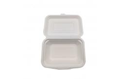 China Single Compartment Biodegradable Clamshell Box Disposable 8in 9 Inch supplier