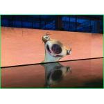 P10 Outdoor Advertising LED Display Screen 960 * 960mm Waterproof for sale