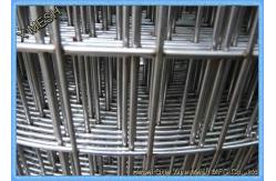 China Square Mesh Welded Wire Panels , Weld Mesh Fence Panels 23 / 8 / 9 Gauge supplier
