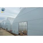 Durable Single Span Tunnel Greenhouse For Hydroponic Vegetable And Fruit Planting