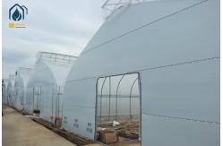 China Durable Single Span Tunnel Greenhouse For Hydroponic Vegetable And Fruit Planting supplier