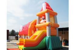 China 18 OZ PVC Inflatable Bouncer Slide Playground Bouncy Castle supplier