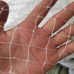 Long Lasting Protection Anti Bird Net with UV Stabilized Chinlon Material
