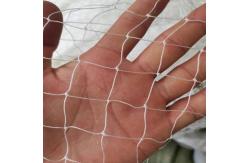 China Long Lasting Protection Anti Bird Net with UV Stabilized Chinlon Material supplier