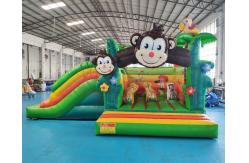 China Commercial Bouncy Castle Inflatable Water Slide With Pool supplier