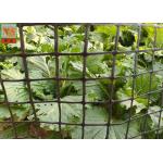 Heavy Duty Fence 50CM Garden Mesh Netting