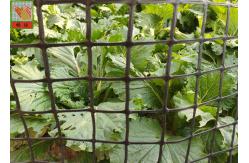 China Heavy Duty Fence 50CM Garden Mesh Netting supplier